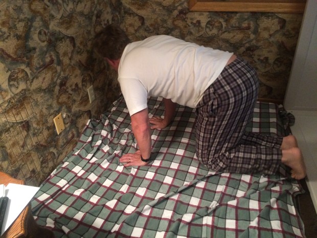 ken-changing-the-whelping-box