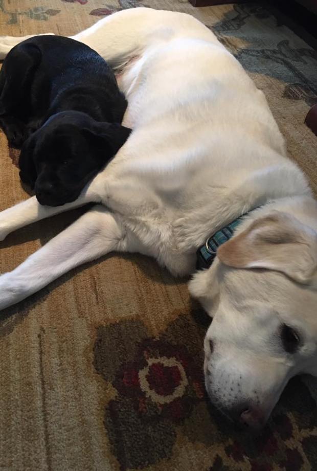 lizzie-with-osmo-the-first-night