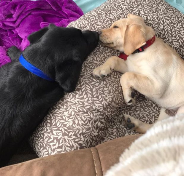 lyric-first-day-with-ace