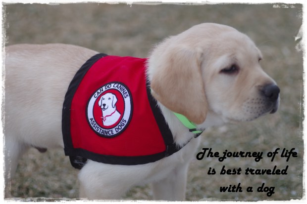 the-journey-of-life-quote-with-yellow