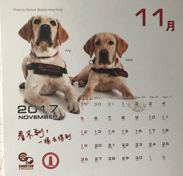 Ivy Nutmeg and Isla Sage