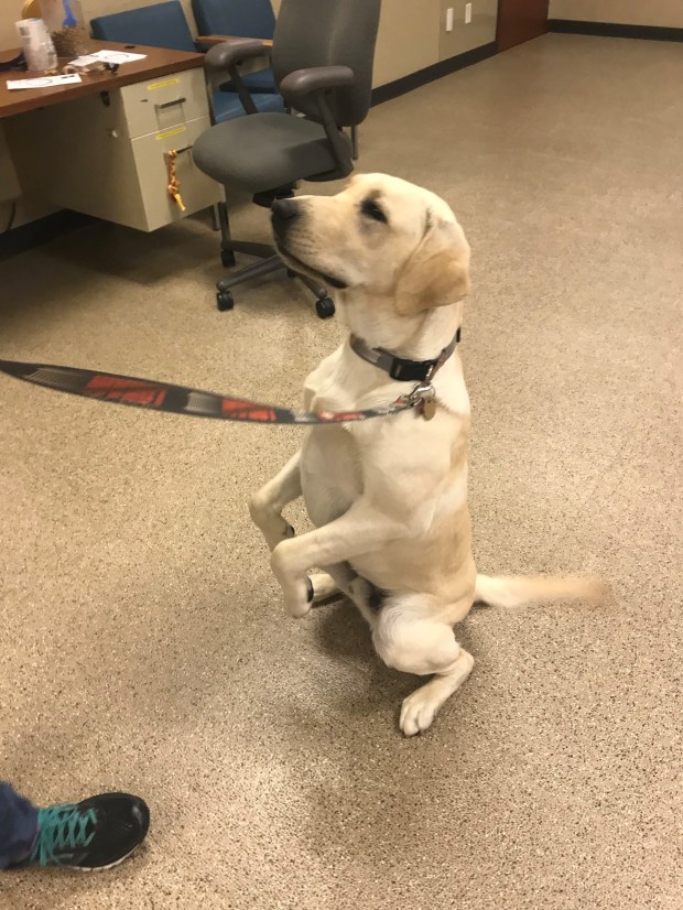 Liam sitting pretty 1