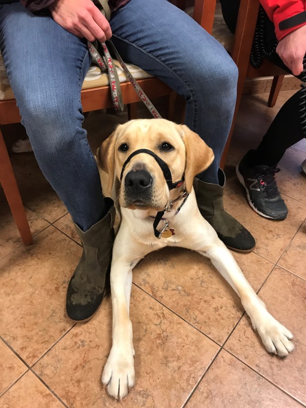 Lyric at Can Do doing a park