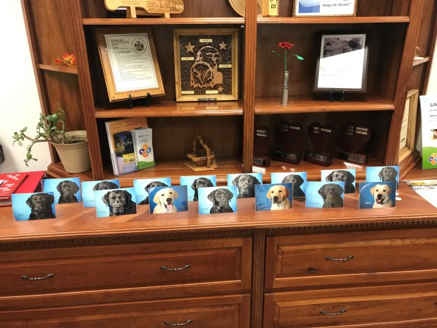 Warden hutch of puppy pictures