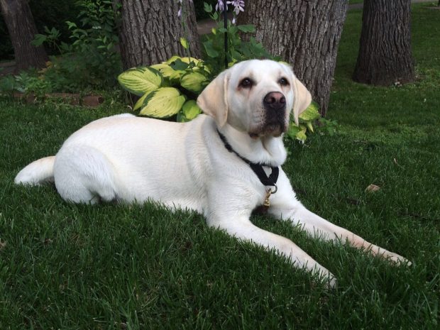 our very first day with Sugar