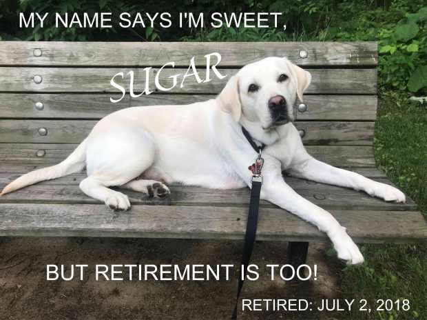 retirement on a bench