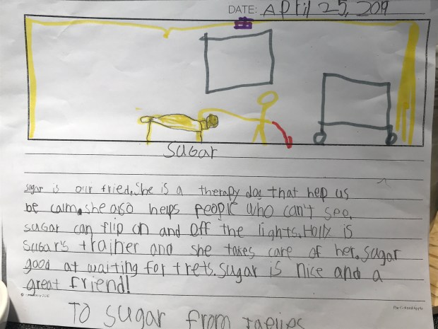 fc385757-a844-475e-b588-2ffbcbd16e17-3819-000004bf8cd67b9d_file