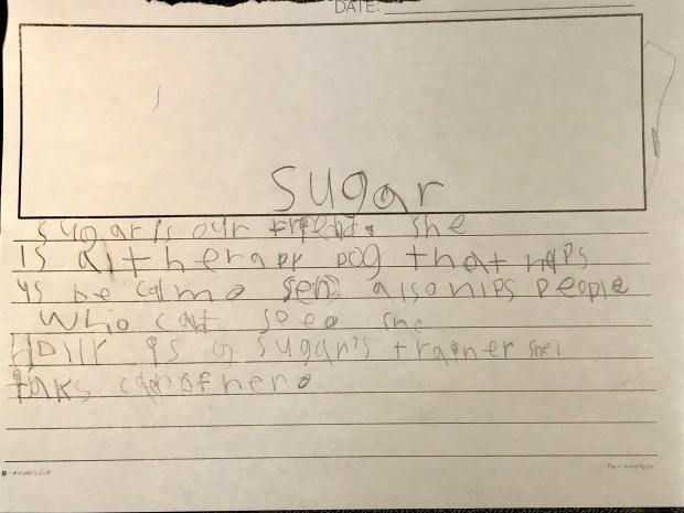 Sugar writing by students at Hayes