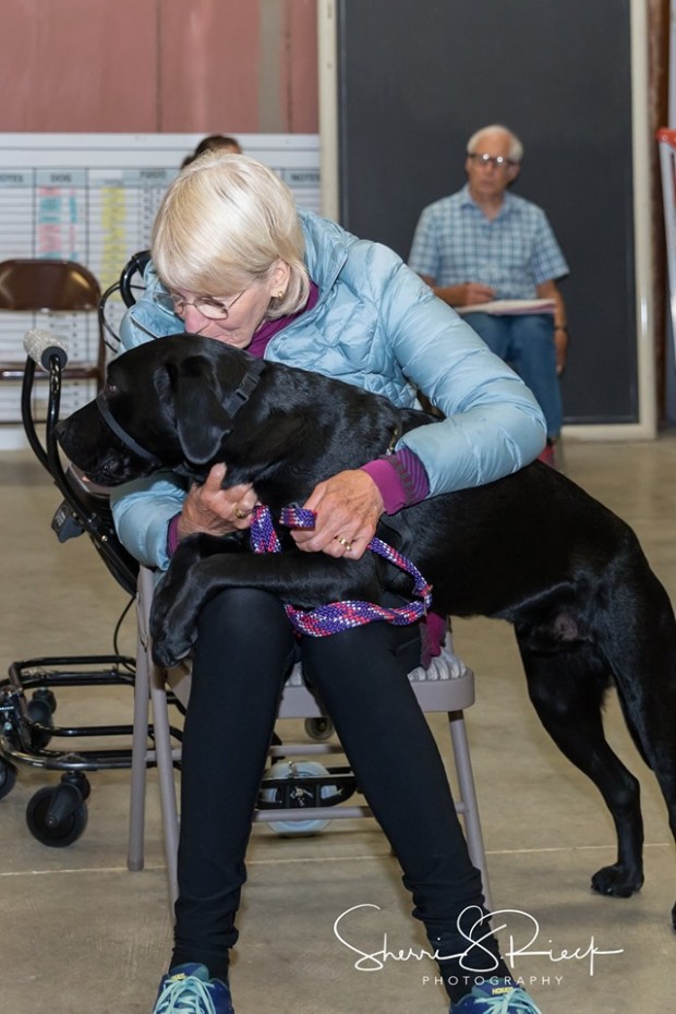 logic meeting partner